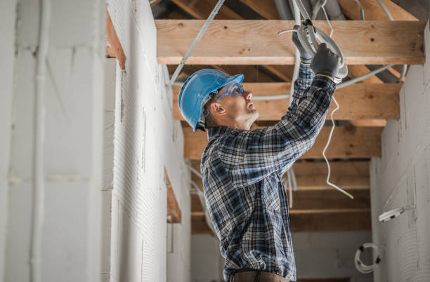 Best Electrician for Home Renovation  in Knoxvle, IL