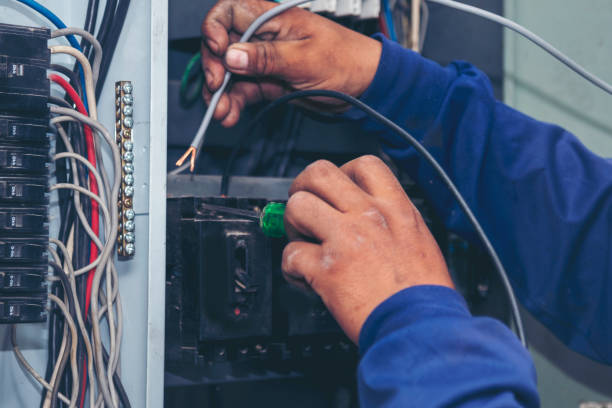 Best Electrical Troubleshooting Services  in Knoxvle, IL