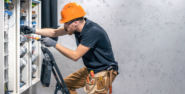 Best Electrical System Inspection  in Knoxvle, IL